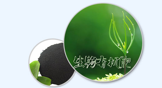 多年品牌，行业领先